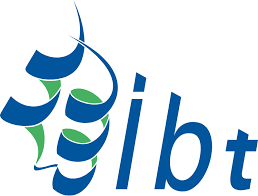 Ibt logo